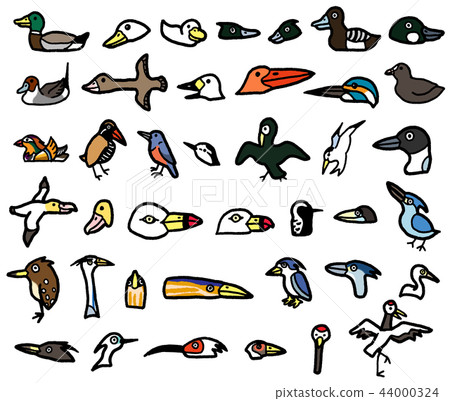 鳥水鳥海鳥野生鳥蒼鷺鴨子 鳥水鳥海鳥野生鳥蒼鷺鴨子 44000324