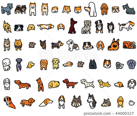 狗各種各樣的狗品種Shiba Inu多殼的玩具獅子狗 44000327