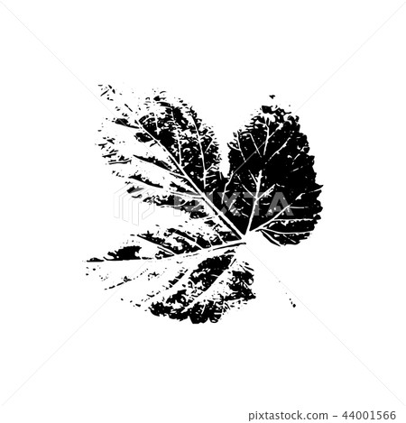 Tree leave silhouette. Plant and nature single isolated clipart 44001566