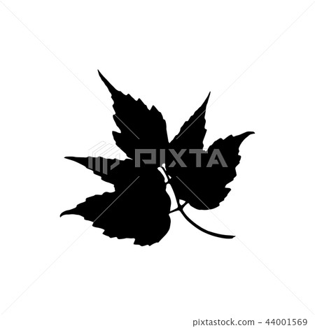 Tree leave silhouette. Plant and nature single isolated clipart Tree leave silhouette. Plant and nature single isolated clipart 44001569
