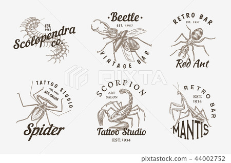 Set of insects logos. Vintage Pets labels for bar or tattoo
studio. Bugs Beetles Scorpion Spider Ant