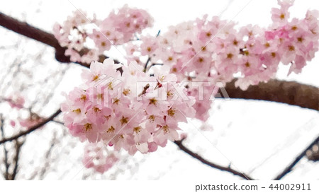 Japanese landscape Japanese landscape 44002911