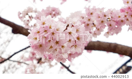 日本風景 日本風景 44002913