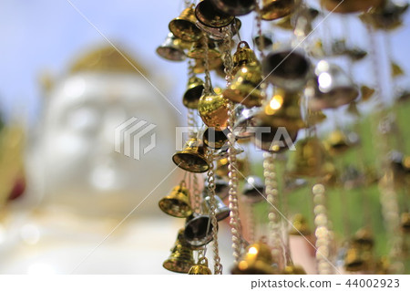 Golden bells lucky and beautiful. Golden bells lucky and beautiful. 44002923