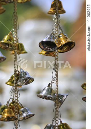 Golden bells lucky and beautiful. Golden bells lucky and beautiful. 44002925