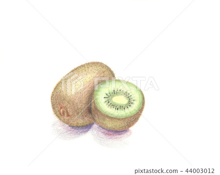 Color pencil hand drawn kiwi 44003012