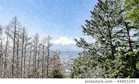 Japanese landscape 44003295