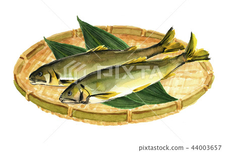 香魚香魚扎魯灑灑 44003657