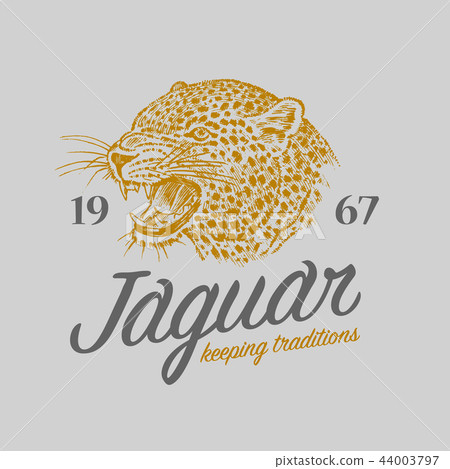 Japanese leopard logo. Asian cat. Grunge label print. Angry roar of a predator. Badge or emblem 44003797