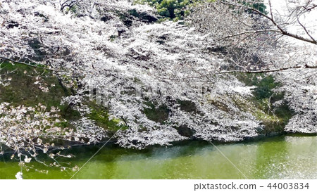 Japanese landscape Japanese landscape 44003834