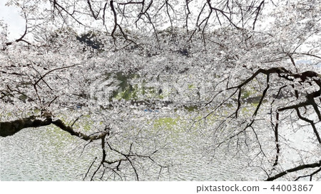 日本風景 44003867