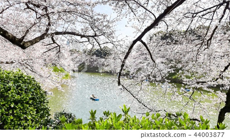 日本風景 44003877