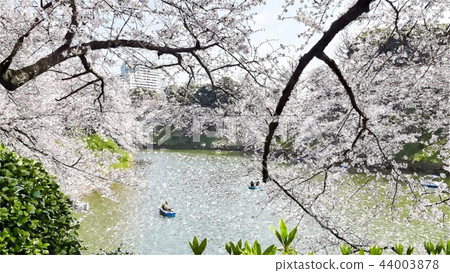 日本風景 44003878