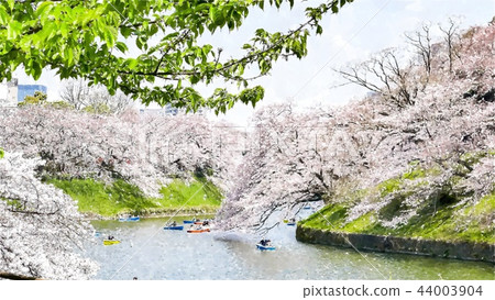 日本風景 44003904