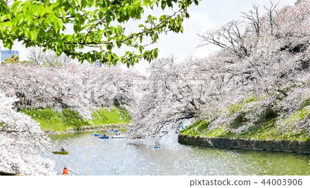 日本風景 日本風景 44003906