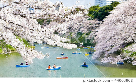 Japanese landscape Japanese landscape 44003908