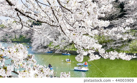 Japanese landscape Japanese landscape 44003909