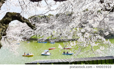 日本風景 日本風景 44003910
