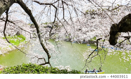 日本風景 日本風景 44003911