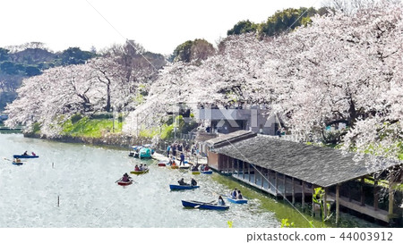 Japanese landscape Japanese landscape 44003912