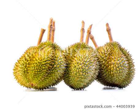 close up shot on durian,  on white backgroun 44003939