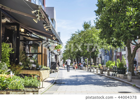 [Jiyugaoka Kujinbutsugawa Green Road] 44004378