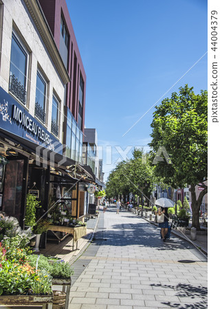 [Jiyugaoka Kujinbutsugawa Green Road] 44004379