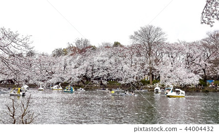 日本風景 日本風景 44004432