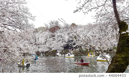 日本風景 日本風景 44004433