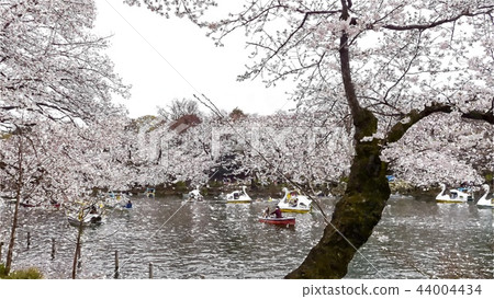 日本風景 日本風景 44004434