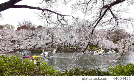 Japanese landscape Japanese landscape 44004435