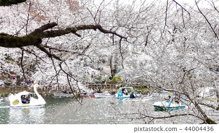 Japanese landscape 44004436