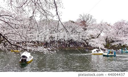 Japanese landscape 44004437