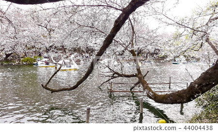 Japanese landscape Japanese landscape 44004438