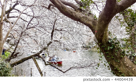 Japanese landscape Japanese landscape 44004439