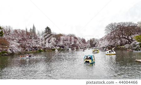 Japanese landscape Japanese landscape 44004466
