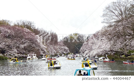 Japanese landscape Japanese landscape 44004467