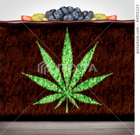 Cannabis Edibles 44005223