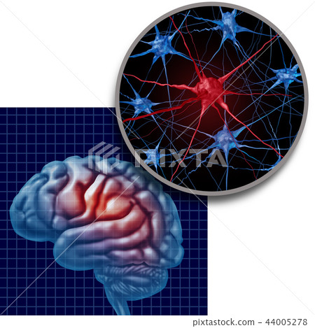 Parkinson Brain Anatomy Concept 44005278