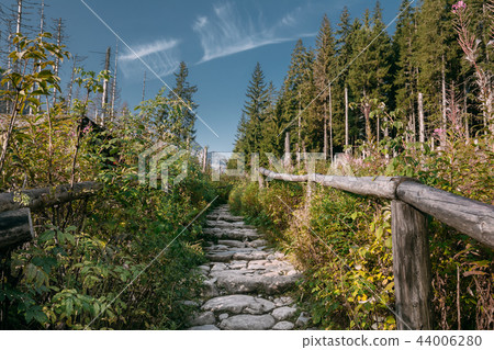 Tatra National Park, Poland. Hiking Trails In Summer Tatra Mount 44006280