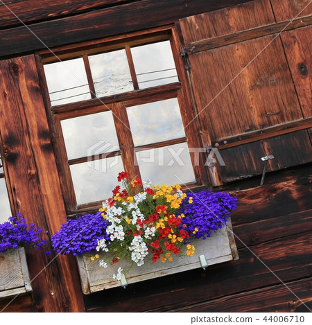 Flowers and window of a old farm house. Flowers and window of a old farm house. 44006710