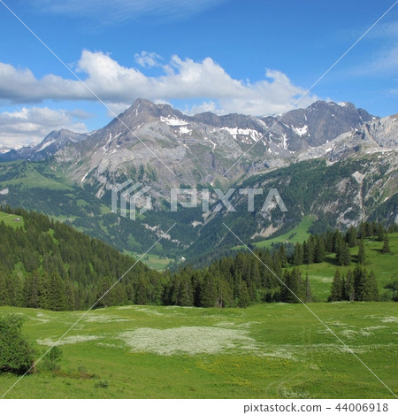 Mount Spitzhorn in Summer, Switzerland. Mount Spitzhorn in Summer, Switzerland. 44006918