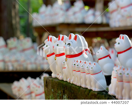 招手貓Gotokuji東京 44007207