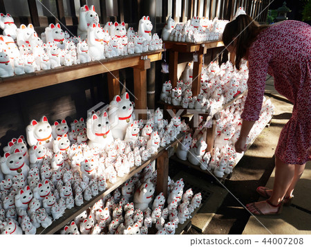 招手貓Gotokuji東京 44007208