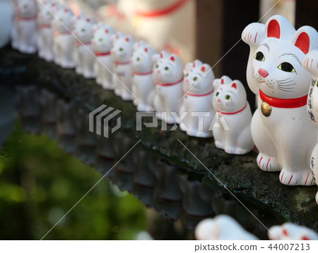 招手貓Gotokuji東京 44007213