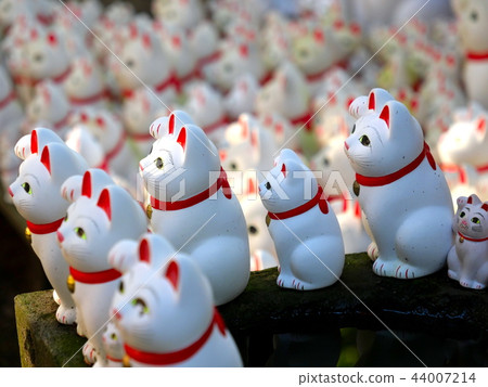 招手貓Gotokuji東京 招手貓Gotokuji東京 44007214