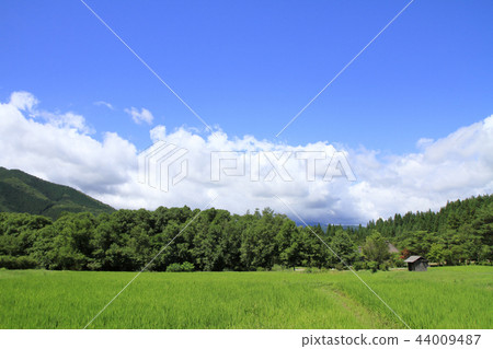 Tohoku Tono rural scenery (summer) Tohoku Tono rural scenery (summer) 44009487