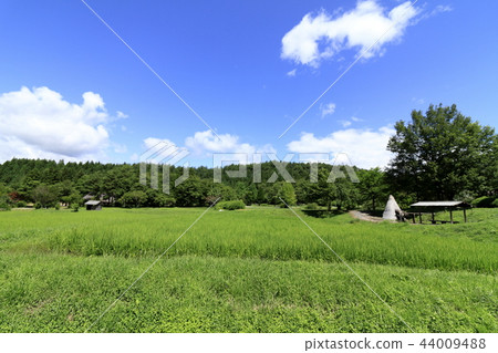 東北Tono田園風光(夏天) 東北Tono田園風光(夏天) 44009488
