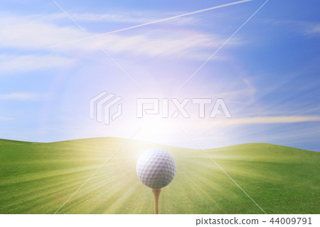 golf ball on tee 44009791