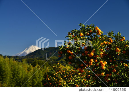 Over Mt. Fuji over Mt. Fuji (Shizuoka Prefecture) Over Mt. Fuji over Mt. Fuji (Shizuoka Prefecture) 44009868